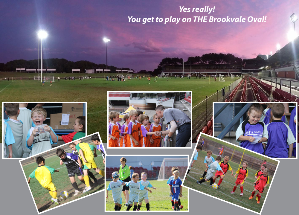 Play Summer Soccer at Brookvale Oval ... the best 6-a-side on Sydney's Northern Beaches