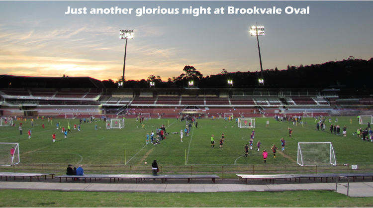 FootballSSG is played at the best venues with the best playing surface and the best lighting. This photo taken at Brookvale Oval, October 2012