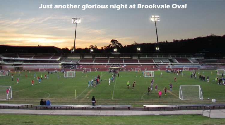 FootballSSG is played at the best venues with the best playing surface and the best lighting. This photo taken at Brookvale Oval, October 2012 FootballSSG is played at the best venues with the best playing surface and the best lighting. This photo taken at Brookvale Oval, October 2012